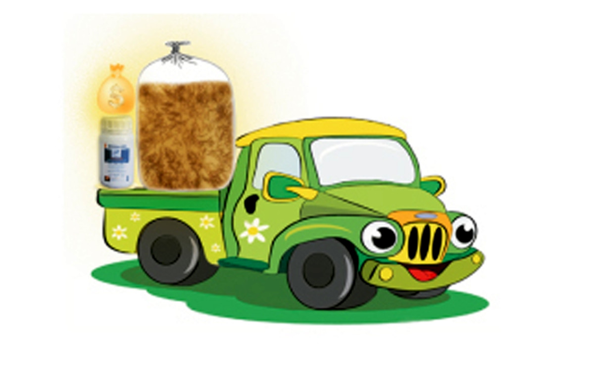 Vận chuyển t&ocirc;m giống